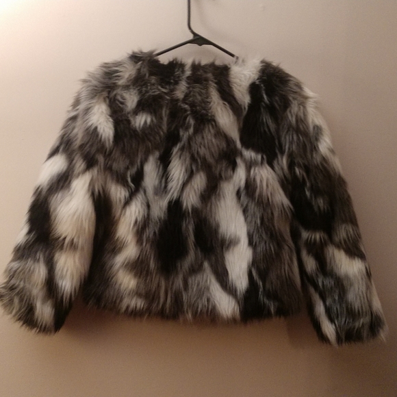 Jacket - Picture 2 of 5